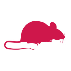 mouse control lanarkshire
