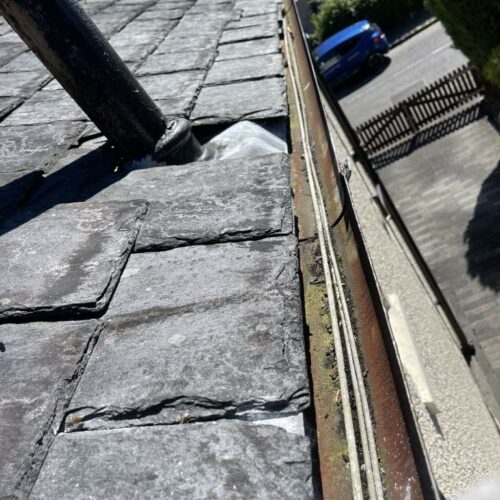 pest control wishaw wasp nest under roof tiles 3