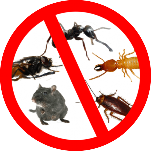 domestic commercial pest control bishopbriggs